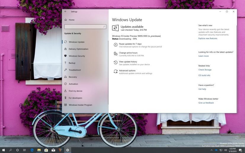 Windows 10 build 18895