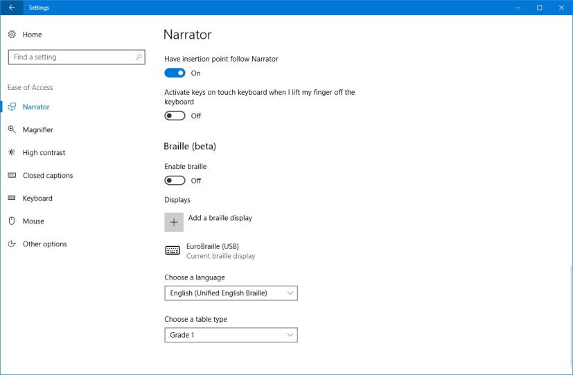 Ease of Access Braille settings